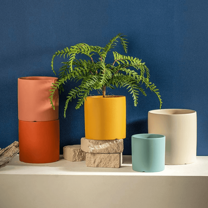 Timeless Ceramic Planter with Saucer
