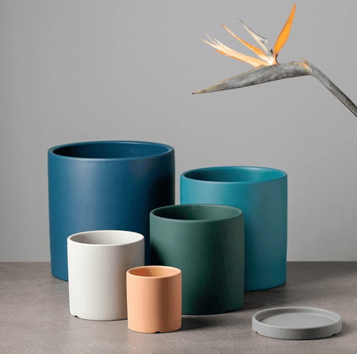 Timeless Ceramic Planter with Saucer